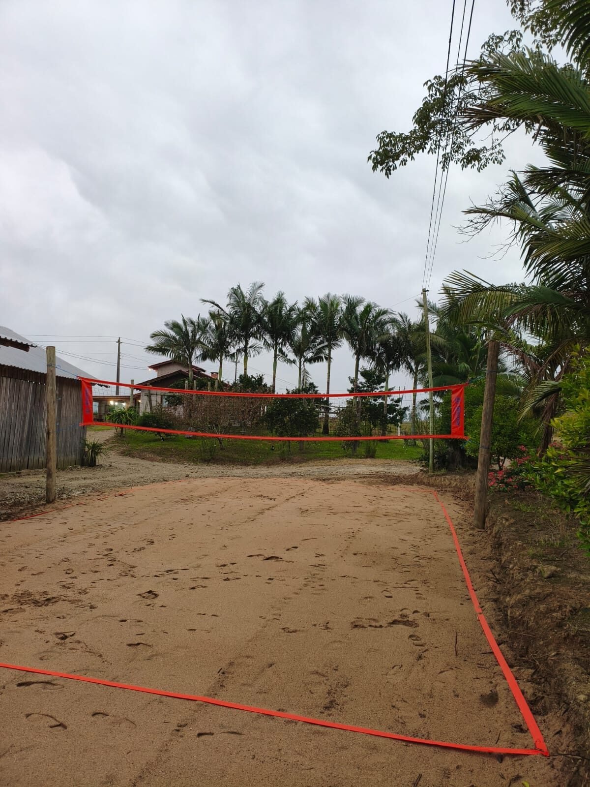 Quadra de areia para beach tennis entre palmeiras